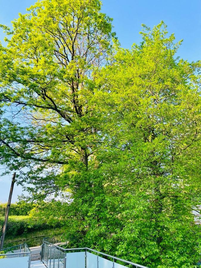 Ferienwohnung Waldblick Kaufungen Екстериор снимка